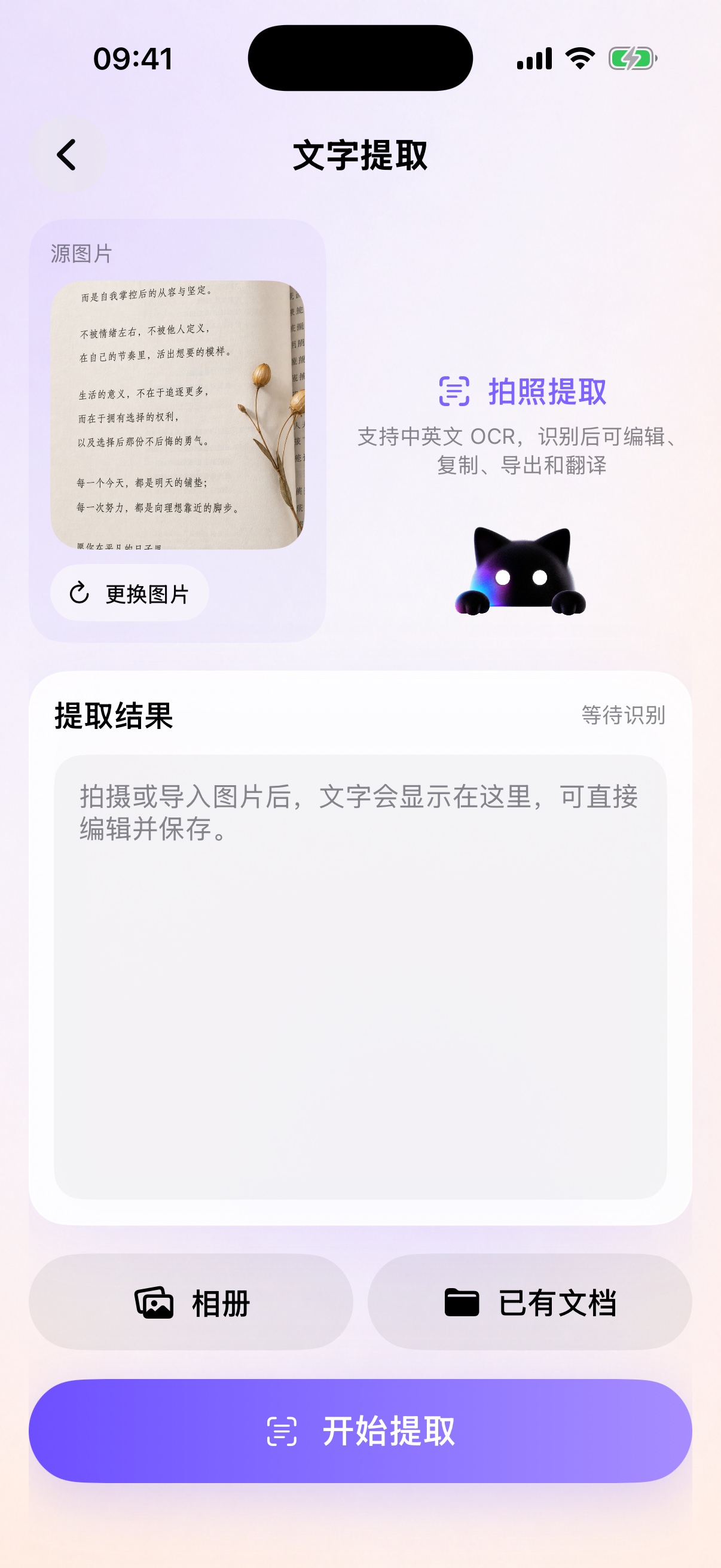 文字提取结果页面